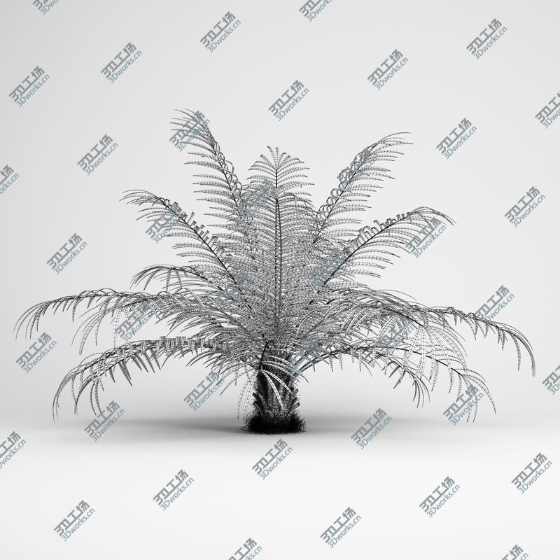 images/goods_img/20210319/CGAxis Models Volume 15 Exotic Plants/5.jpg